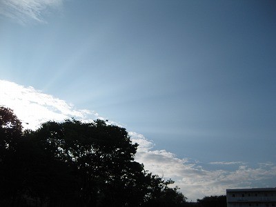 f:id:docan:20120709011514j:image