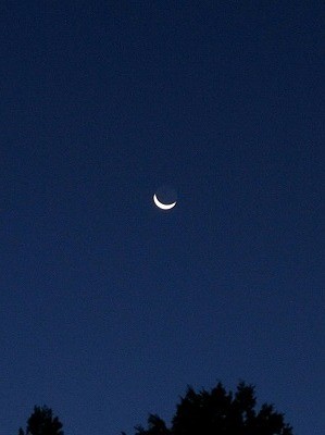 f:id:docan:20121013085920j:image