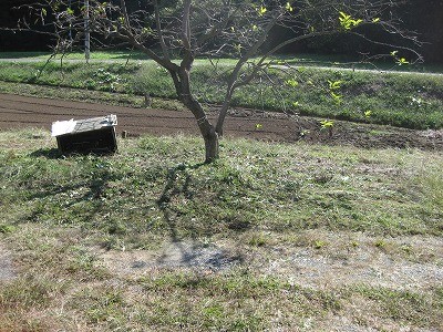 f:id:docan:20121023004718j:image