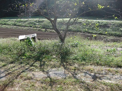 f:id:docan:20121023004719j:image