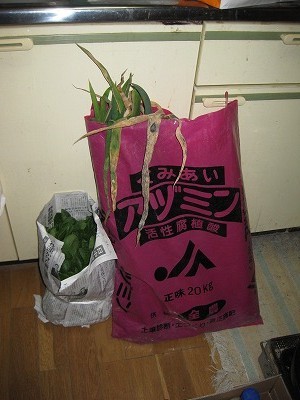 f:id:docan:20130127015825j:image