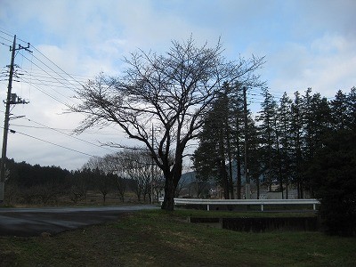 f:id:docan:20130323021500j:image