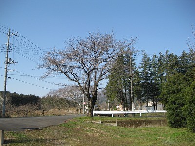f:id:docan:20130323092948j:image