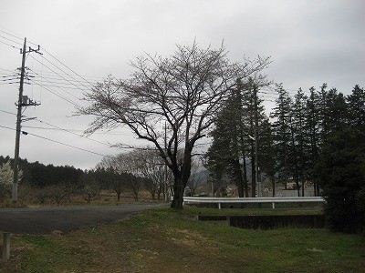 f:id:docan:20130324102309j:image
