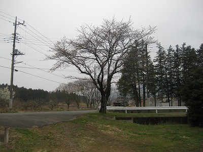f:id:docan:20130325231319j:image