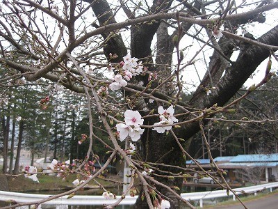 f:id:docan:20130325231321j:image