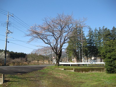 f:id:docan:20130327055816j:image