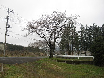 f:id:docan:20130329001329j:image