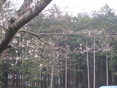 f:id:docan:20130329001331j:image