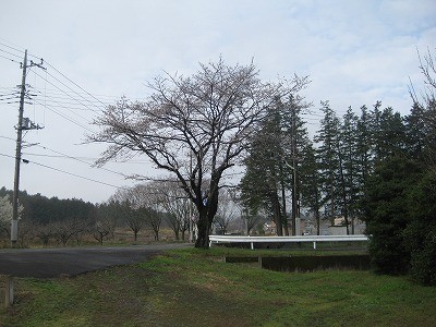 f:id:docan:20130329001535j:image