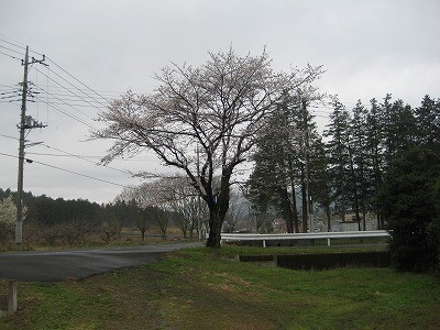 f:id:docan:20130330093855j:image