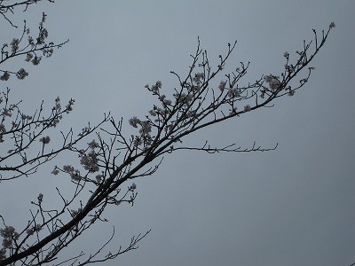 f:id:docan:20130330093856j:image