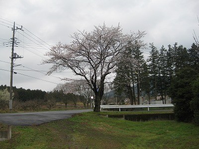 f:id:docan:20130330094443j:image