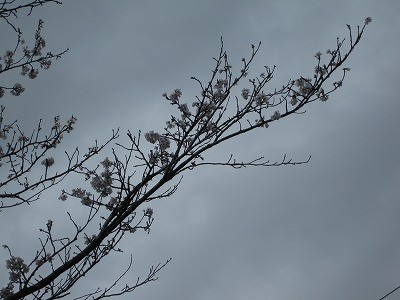 f:id:docan:20130330094444j:image