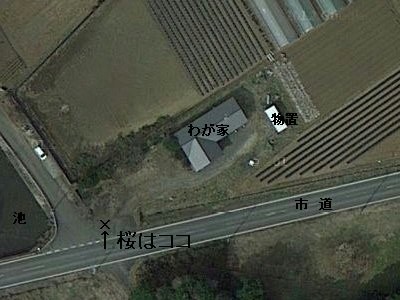 f:id:docan:20130330094450j:image