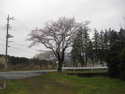 f:id:docan:20130331202414j:image