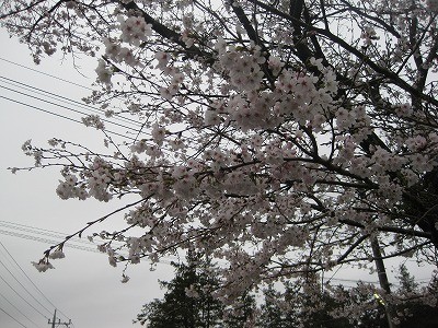 f:id:docan:20130331202417j:image