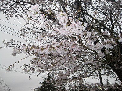f:id:docan:20130331202418j:image