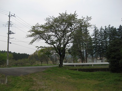 f:id:docan:20130418193436j:image