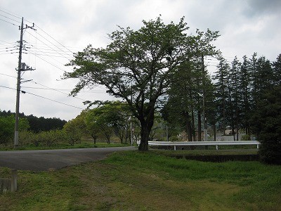 f:id:docan:20130424201457j:image