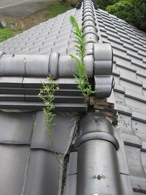 f:id:docan:20130824233428j:image f:id:docan:20130824233428j:image