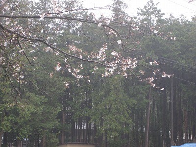 f:id:docan:20140403213131j:image