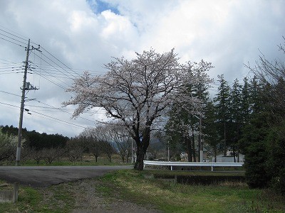 f:id:docan:20140406111520j:image