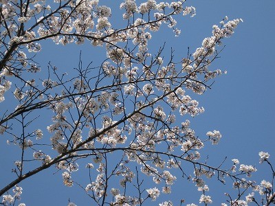 f:id:docan:20140411004245j:image