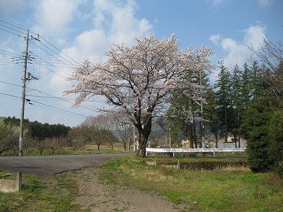 f:id:docan:20140411005247j:image