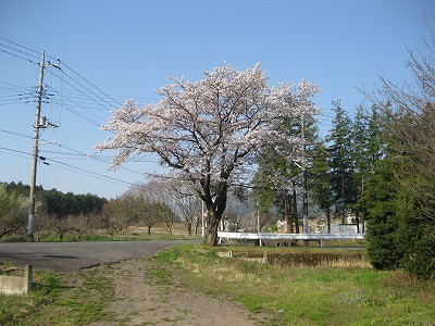 f:id:docan:20140411005626j:image