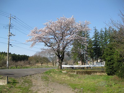 f:id:docan:20140412132005j:image