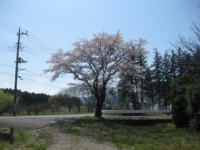f:id:docan:20140412132636j:image