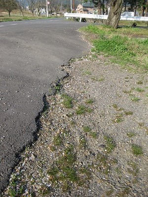 f:id:docan:20140413093812j:image