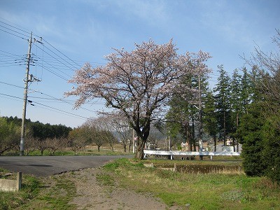 f:id:docan:20140413093913j:image