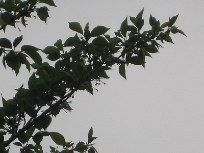 f:id:docan:20140429223030j:image