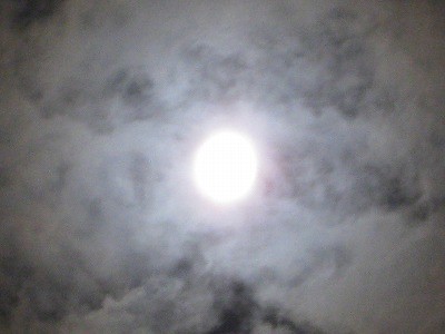 f:id:docan:20141010065231j:image