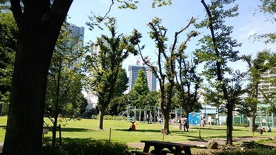 f:id:docan:20151108224540j:image