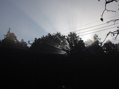 f:id:docan:20151116230542j:image f:id:docan:20151116230542j:image