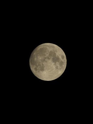 f:id:docan:20160323072210j:image