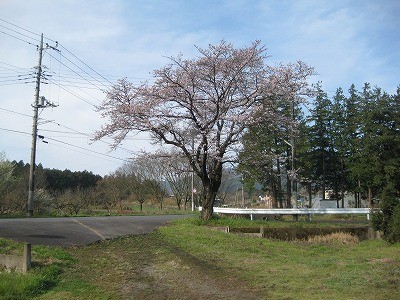 f:id:docan:20160406210338j:image