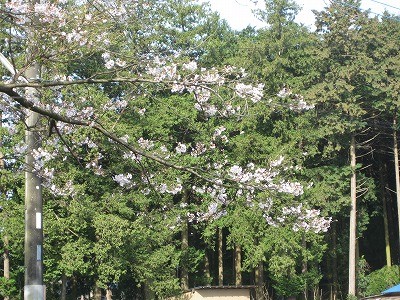 f:id:docan:20160406210339j:image