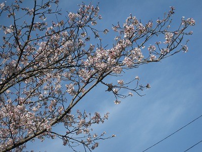 f:id:docan:20160406210341j:image