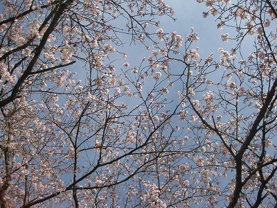 f:id:docan:20160406210343j:image