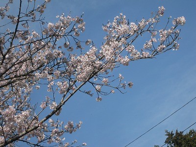 f:id:docan:20160409030933j:image