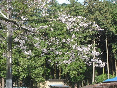 f:id:docan:20160409030934j:image