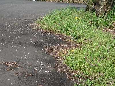 f:id:docan:20160409030935j:image