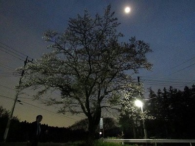 f:id:docan:20160413073146j:image