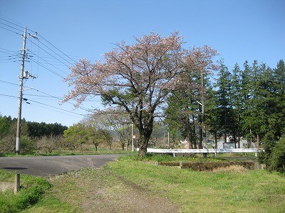 f:id:docan:20160415225306j:image