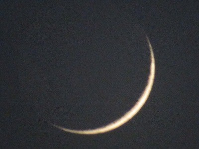 f:id:docan:20160508224552j:image