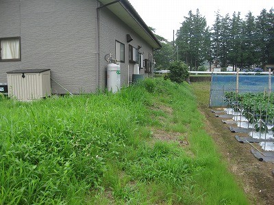 f:id:docan:20160703025310j:image f:id:docan:20160703025310j:image